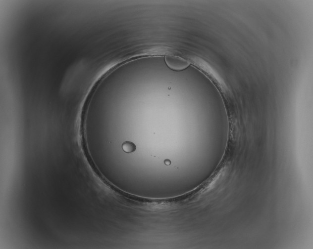 X0000102761087200808181104