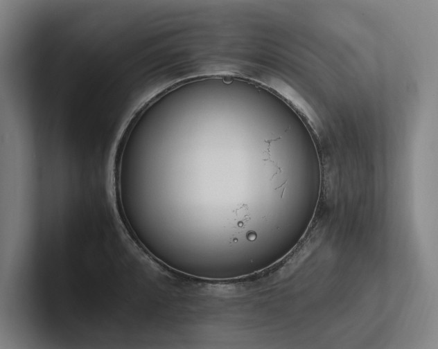 X0000102761088200808181104