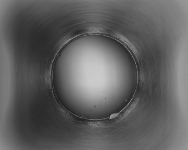 X0000102761089200808181104