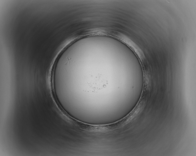 X0000102761090200808181104