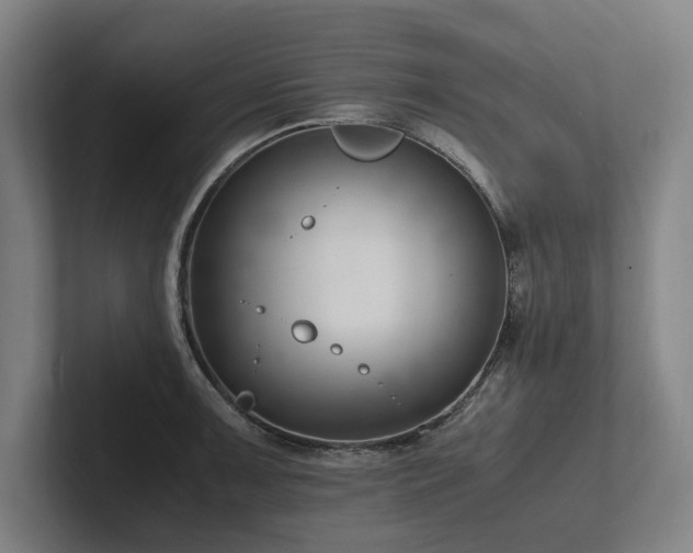X0000102761091200808181104