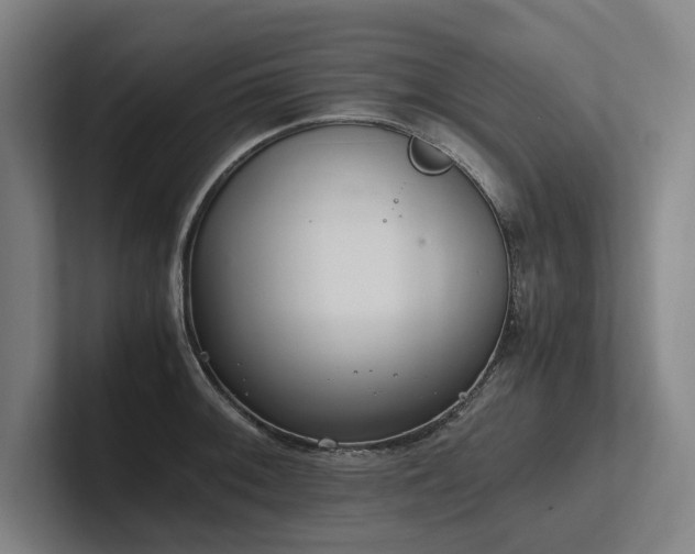X0000102761092200808181104