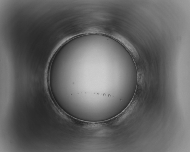 X0000102761094200808181104