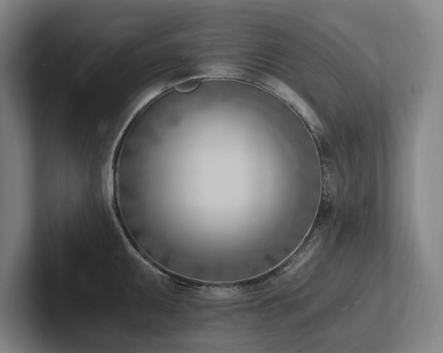 X0000102761095200808181104