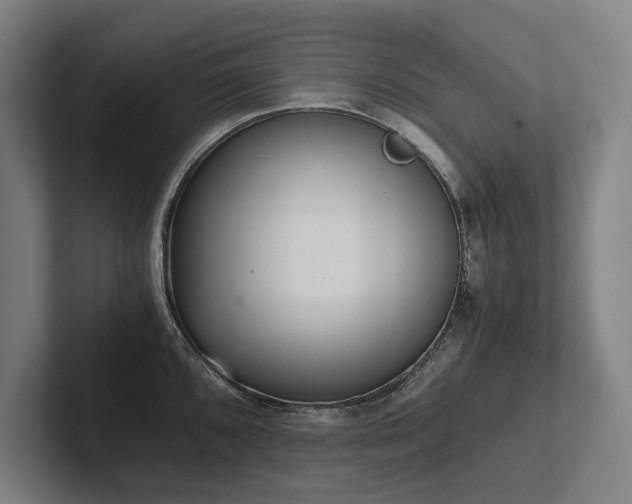 X0000102761096200808181104