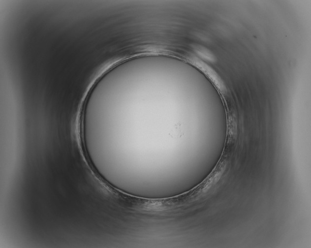 X0000102761098200808181104