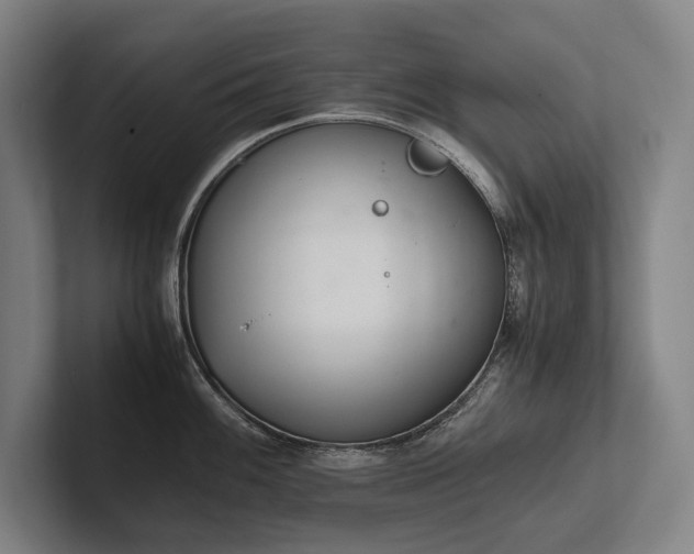X0000102761100200808181104