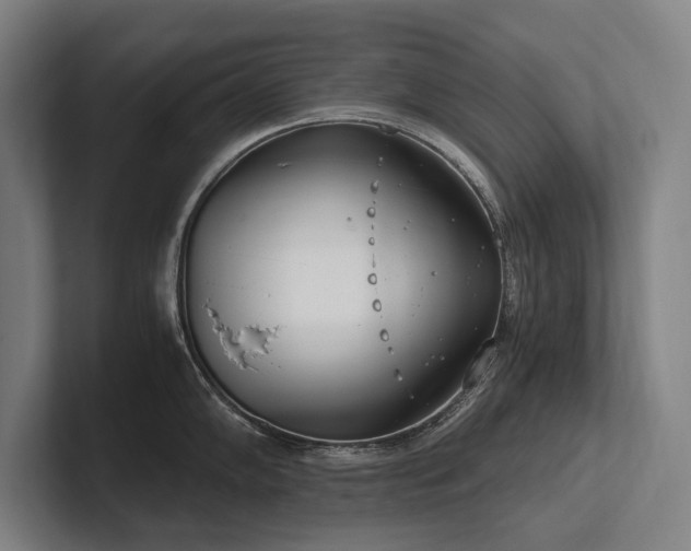 X0000102761102200808181104