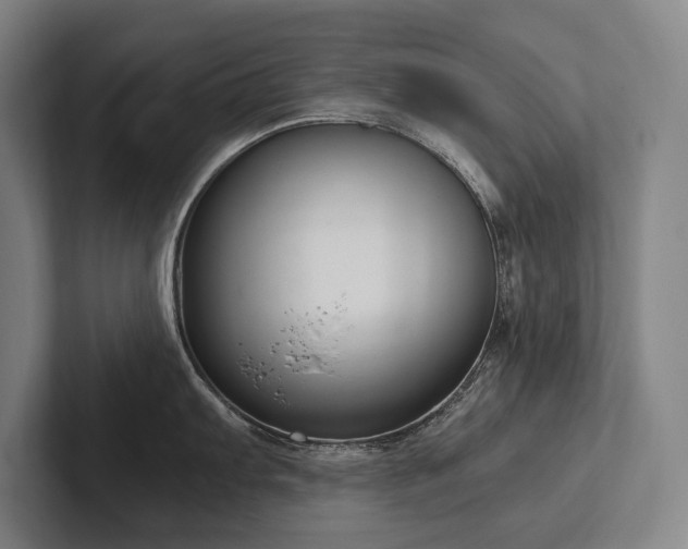 X0000102761103200808181104