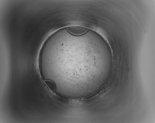 X0000102761104200808181104