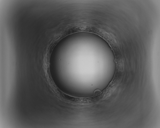 X0000102761105200808181103