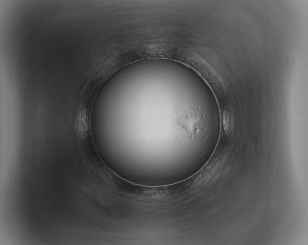 X0000102761107200808181103