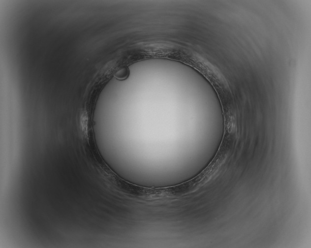 X0000102761108200808181103