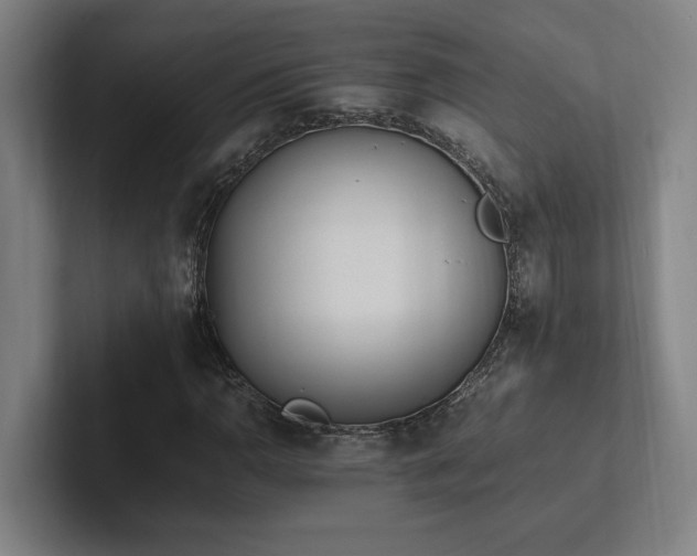 X0000102761110200808181103