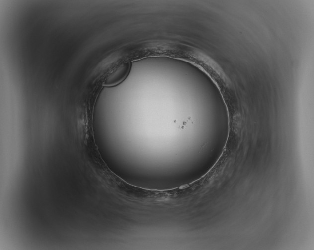 X0000102761111200808181103