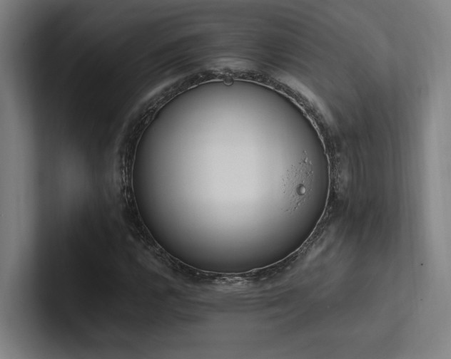 X0000102761112200808181103