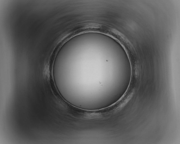 X0000102761113200808181103