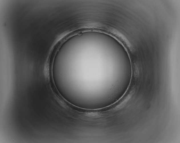 X0000102761114200808181103