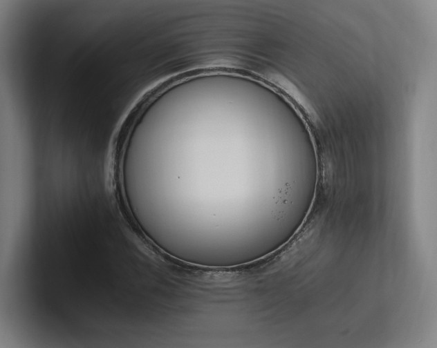 X0000102761116200808181103