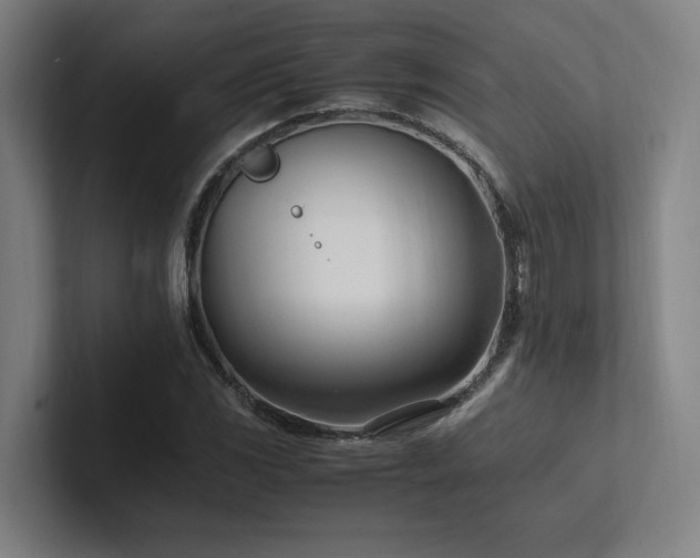 X0000102761117200808181103