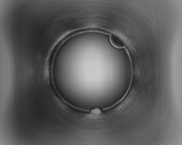 X0000102761118200808181103