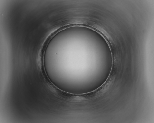 X0000102761119200808181103