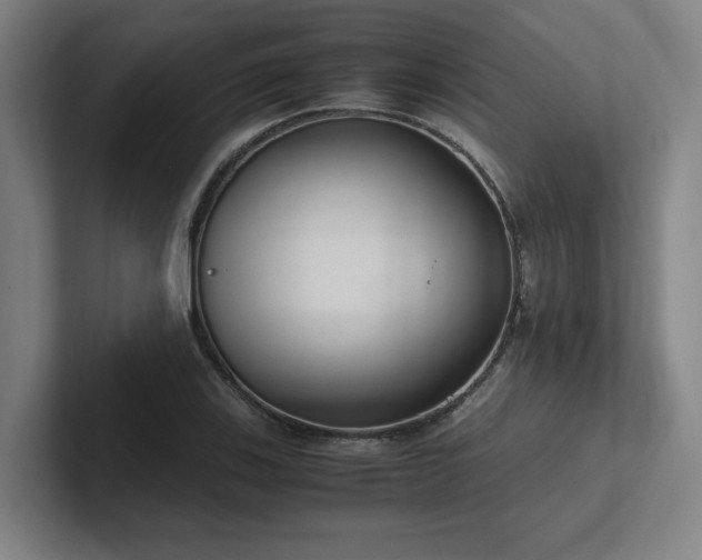 X0000102761123200808181103