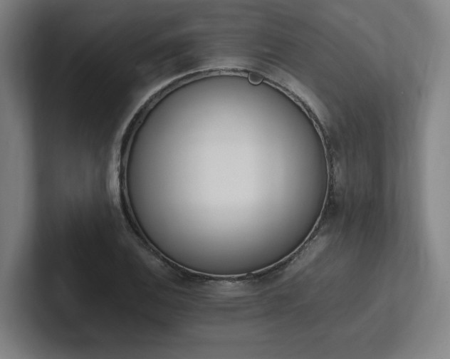 X0000102761124200808181103