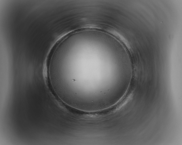 X0000102761125200808181103