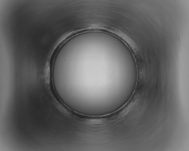 X0000102761126200808181103