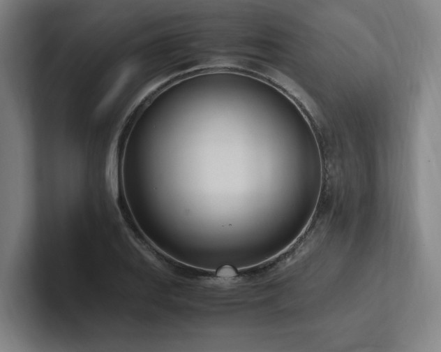 X0000102761127200808181103