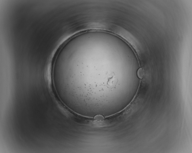 X0000102761128200808181103