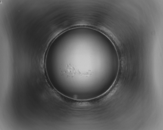 X0000102761129200808181103