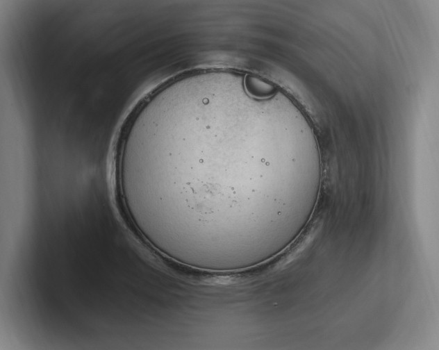 X0000102761130200808181103