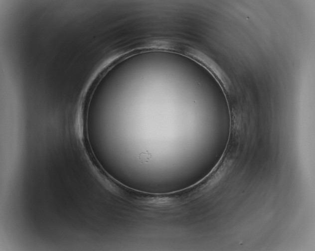 X0000102761131200808181103