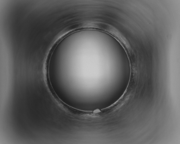 X0000102761133200808181103