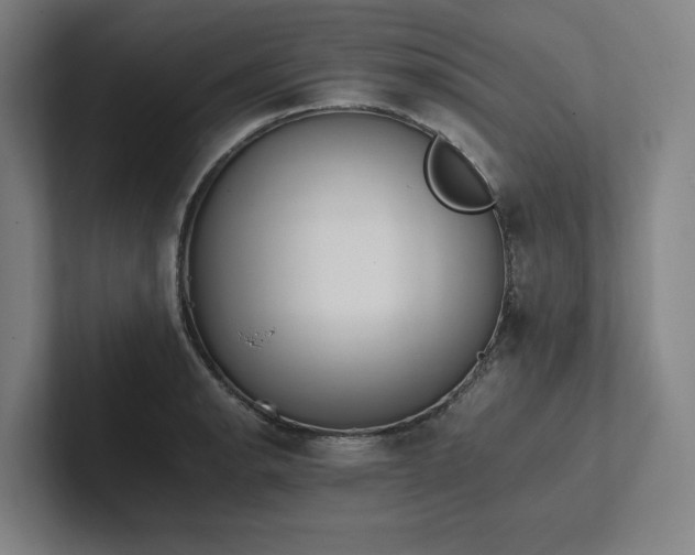 X0000102761134200808181103