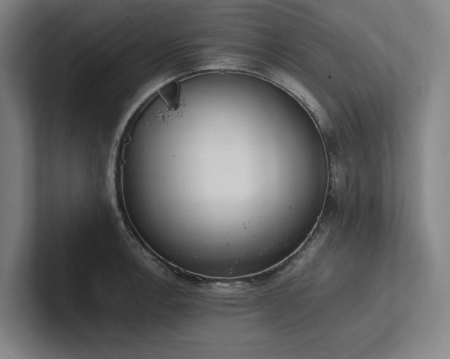X0000102761138200808181104