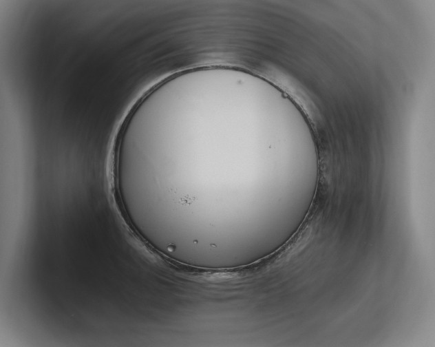 X0000102761140200808181104