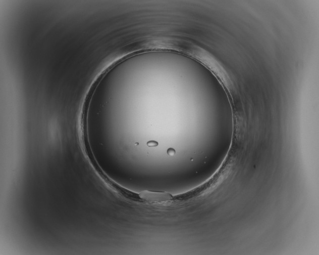X0000102761141200808181104