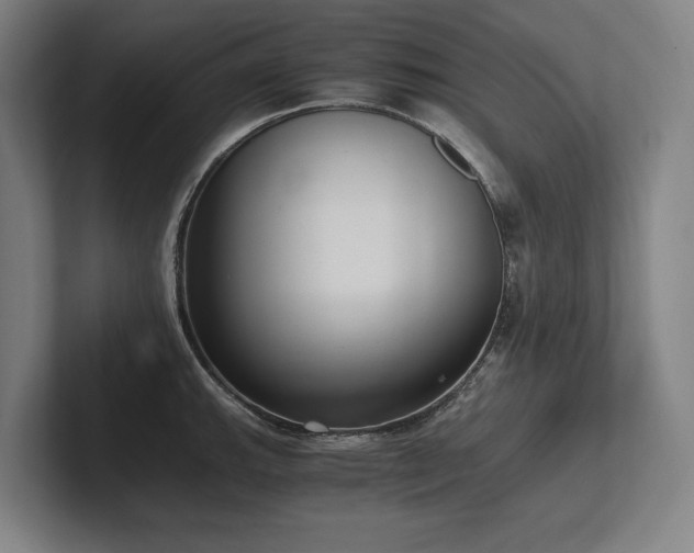 X0000102761143200808181104