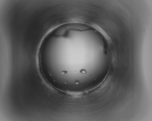 X0000102761144200808181104