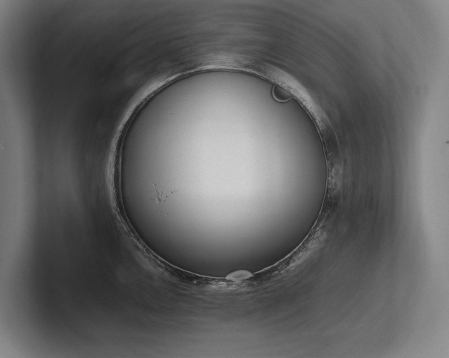 X0000102761146200808181104