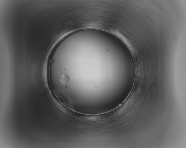 X0000102761147200808181104