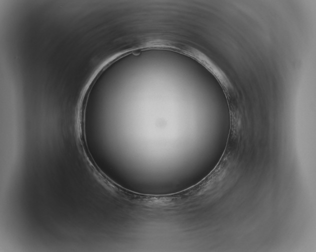 X0000102761148200808181104