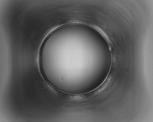 X0000102761149200808181104
