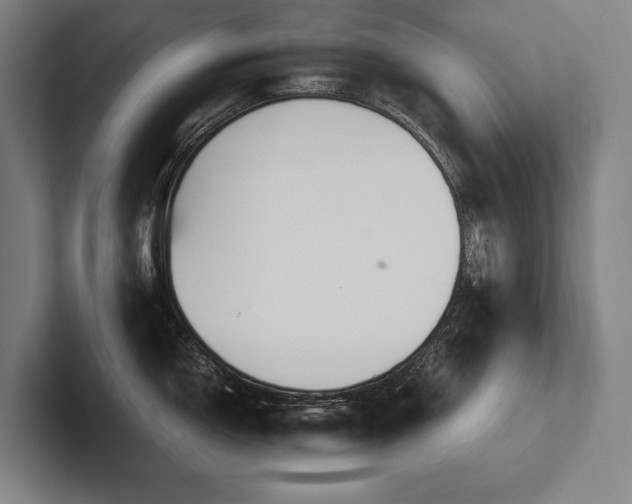 X0000102761150200808181104
