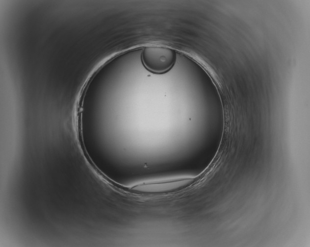 X0000102761151200808181104