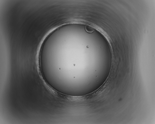 X0000102761152200808181104