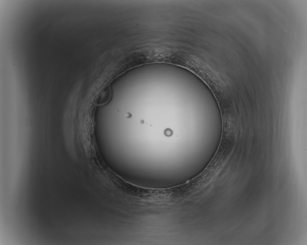 X0000102761153200808181103
